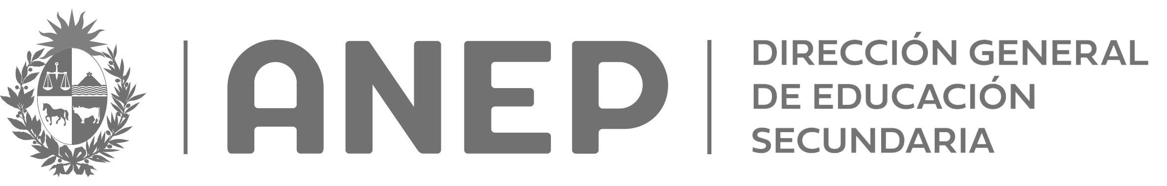 ANEP - General Directorate of Secondary Education Logo