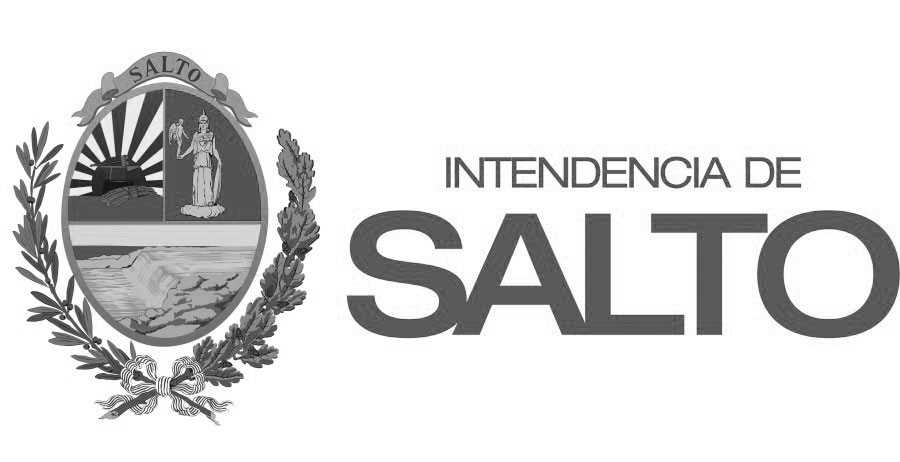 Logotype Salto Municipality